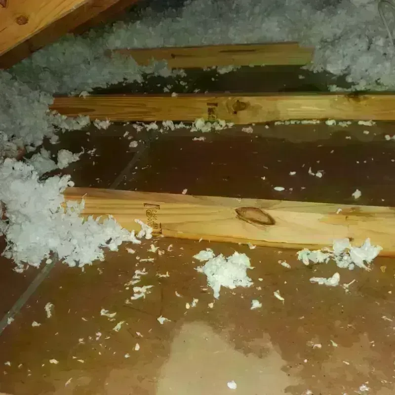 Attic Water Damage in Northampton, MA